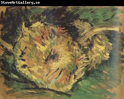 Vincent Van Gogh Two Cut Sunflowers (nn04)